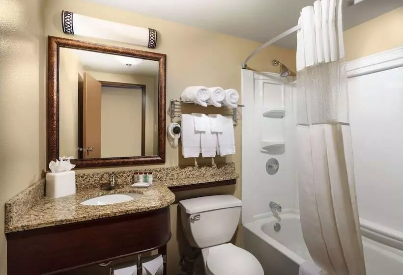 اتاق استاندارد با 2 تخت دوبل, Roosevelt Grand Dakota, Surestay Collection By Best Western