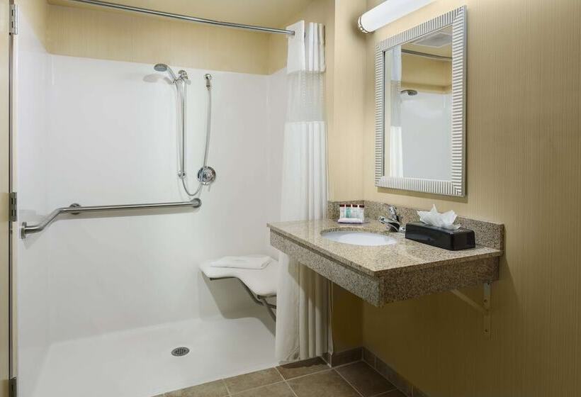Люкс Адаптированный для Инвалидов, Roosevelt Grand Dakota, Surestay Collection By Best Western
