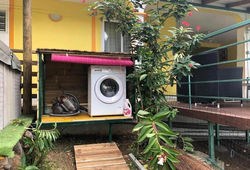 استودیوی استاندارد با چشمانداز دریا, Kaz Amour