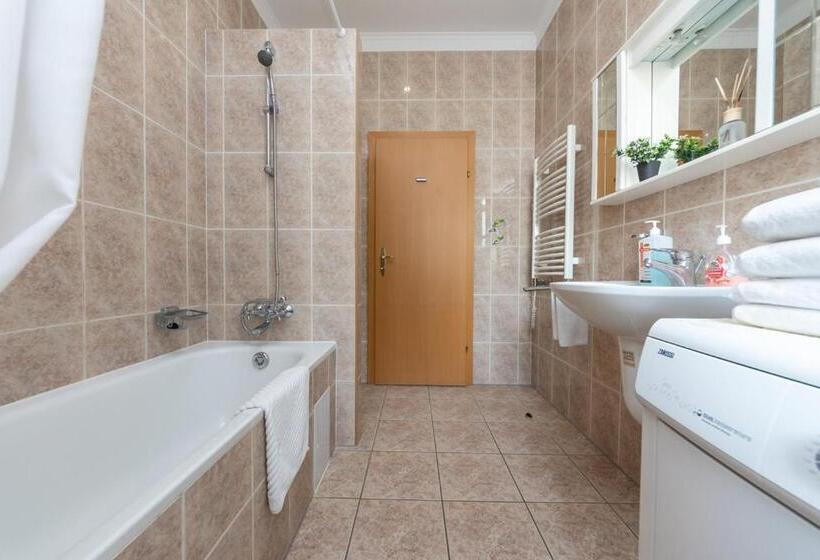 اتاق سوپریور یک تخته, Mini Hotel Guest Residence