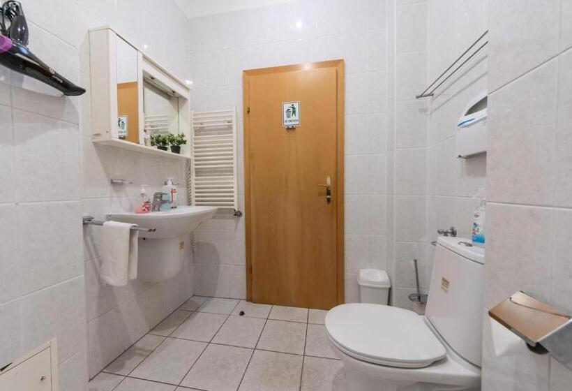 اتاق سوپریور یک تخته, Mini Hotel Guest Residence