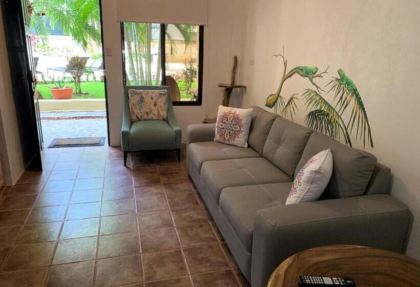 اتاق استاندارد برای معلولان, La Sirena Playa Jaco