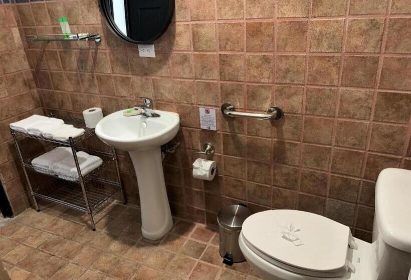 اتاق استاندارد برای معلولان, La Sirena Playa Jaco