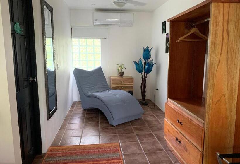 استودیوی لوکس, La Sirena Playa Jaco