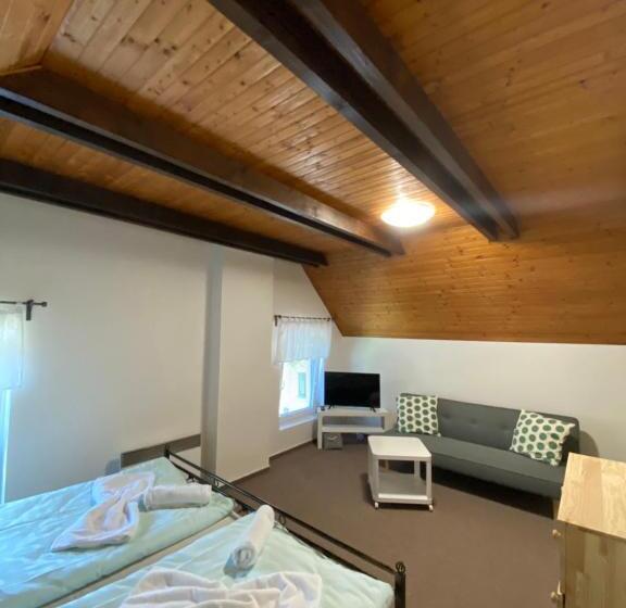 スタンダードルーム, Penzion & Restaurace U Vily