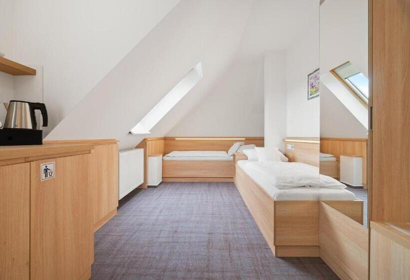 高级大房间, Penzion Sirius