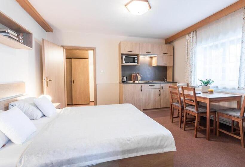 Апартаменты 1 Спальня, Penzion U Kaplicky