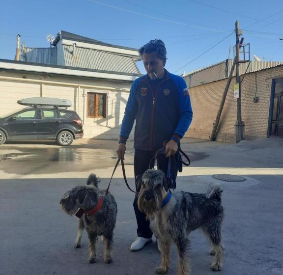 غرفة قياسية ثلاثية, Zarin Guest House B&b