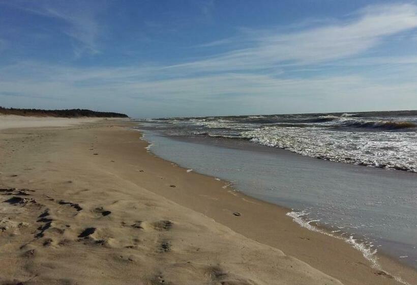 آپارتمان 1 خوابه با بالکن, Saulės Krantas