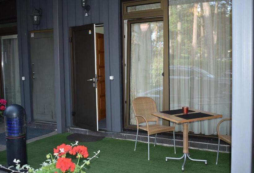 استودیوی استاندارد, Saulės Krantas