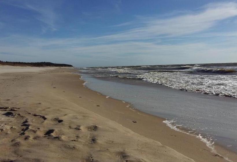 استودیوی استاندارد, Saulės Krantas