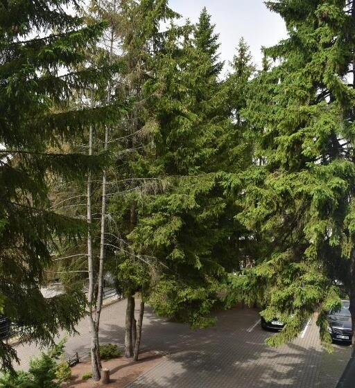 1 Bedroom Penthouse Apartment, Saulės Krantas