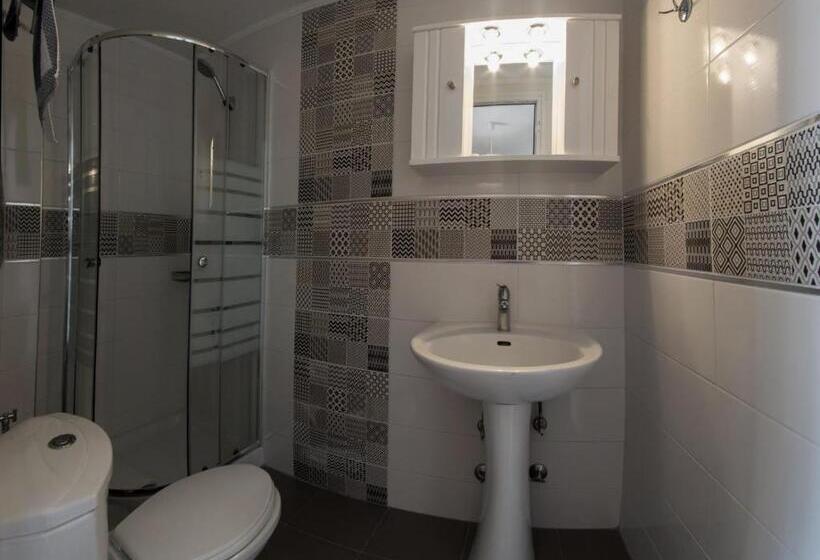 חדר סטנדרט, Viky