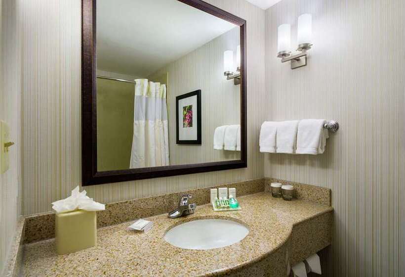 اتاق استاندارد با تخت بزرگ, Hilton Okinawa Sesoko Resort