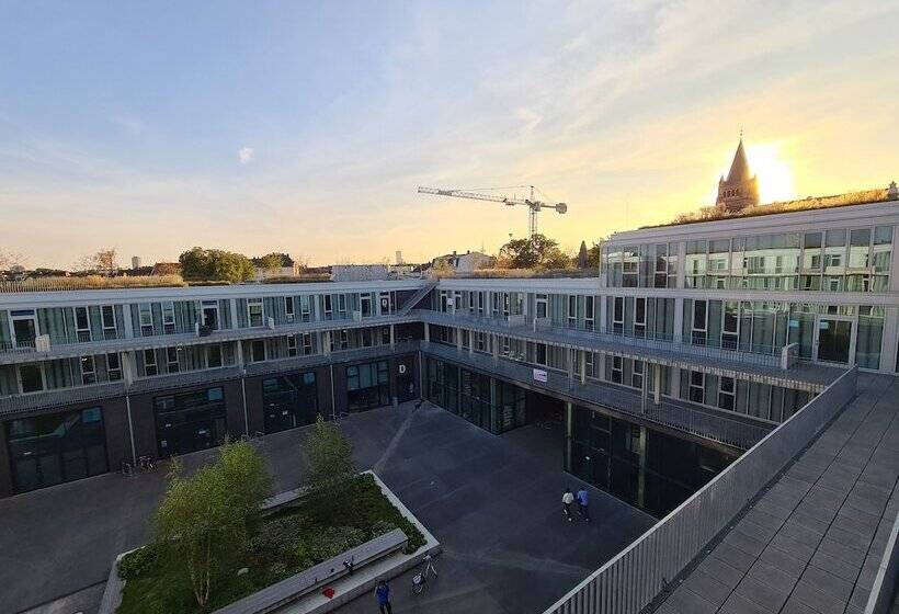 חדר סופריור, Theclouth