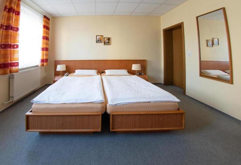 Quarto Estandar Individual, Pension Heinrich Heine