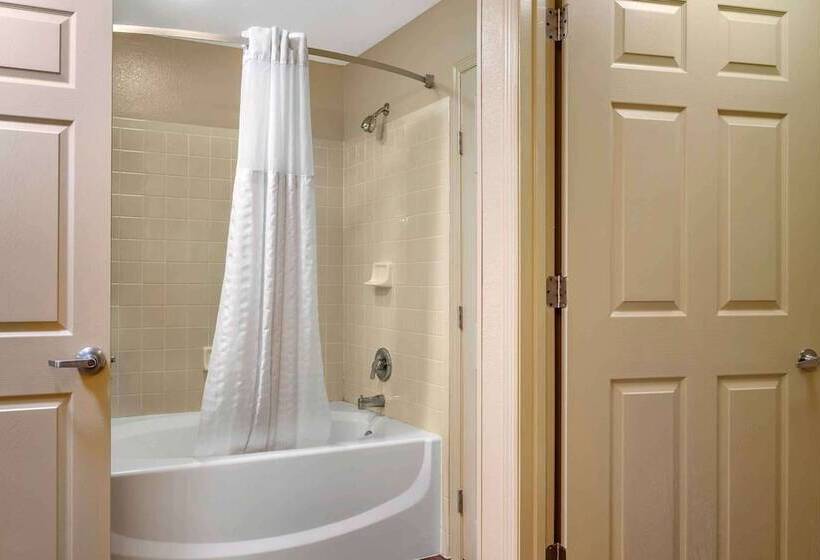 إستوديو ديلوكس, Extended Stay America Suites   Tampa   Airport   N Westshore Blvd