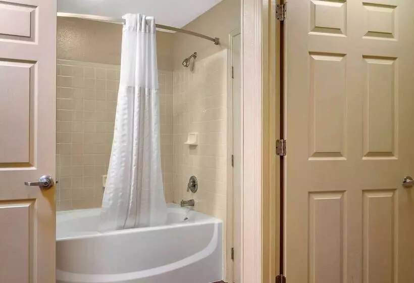 デラックススタジオ, Extended Stay America Suites   Tampa   Airport   N Westshore Blvd
