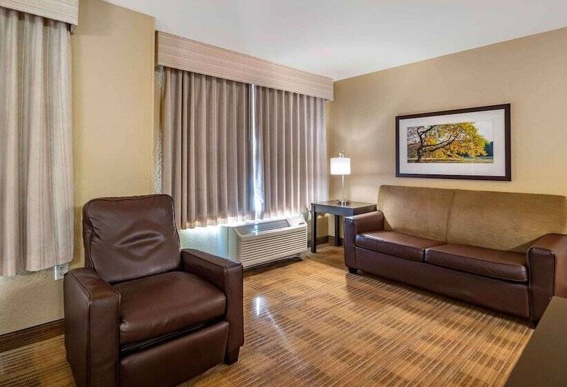 إستوديو ديلوكس, Extended Stay America Suites   Tampa   Airport   N Westshore Blvd