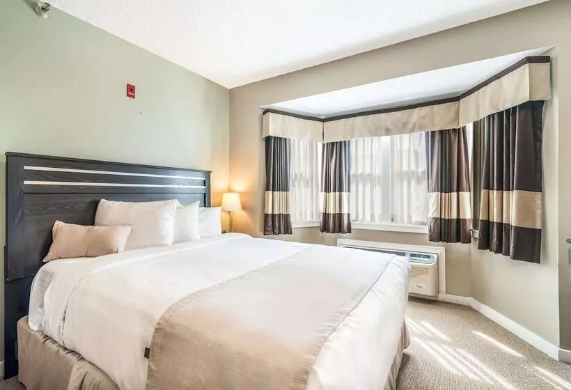 スイート, The Valley Inn, Ascend Hotel Collection