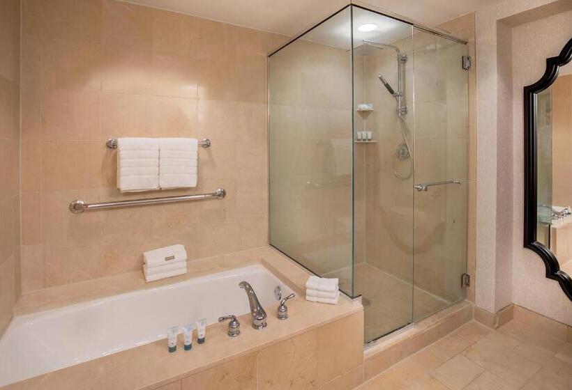 Студио Стандарт Кровать Кинг, The Westin Riverwalk, San Antonio