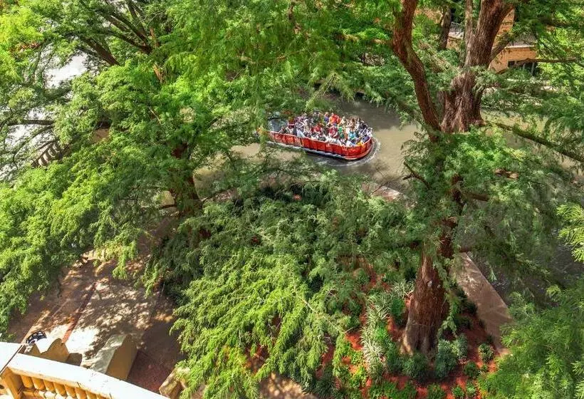 اتاق استاندارد با تخت بزرگ, The Westin Riverwalk, San Antonio