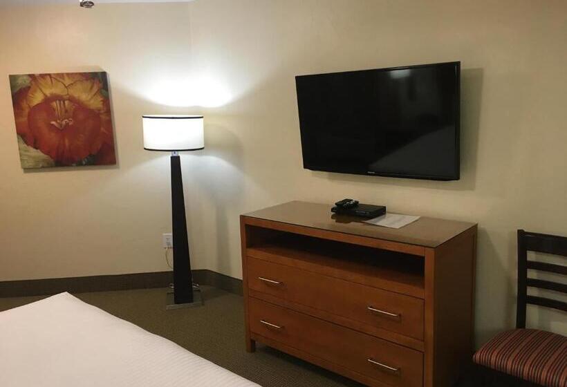 سوئیت 2 خوابه, Hilton Vacation Club Varsity Club Tucson