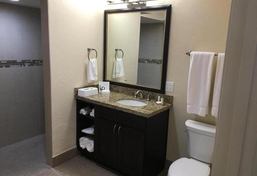 Студия Стандарт, Hilton Vacation Club Varsity Club Tucson