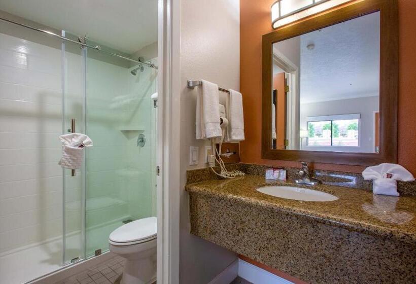 带大床的套房, Wildflower Inn At Bell Rock