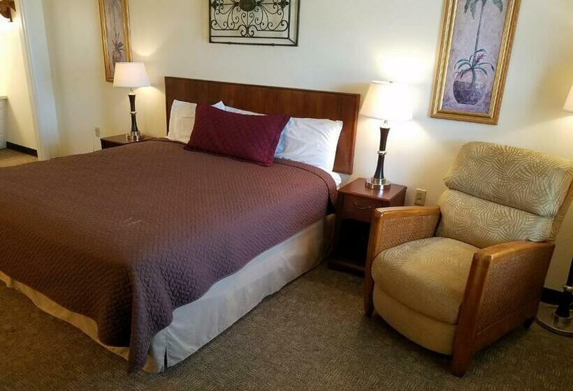 Номер Deluxe Кровать Кинг, West Plains Motel