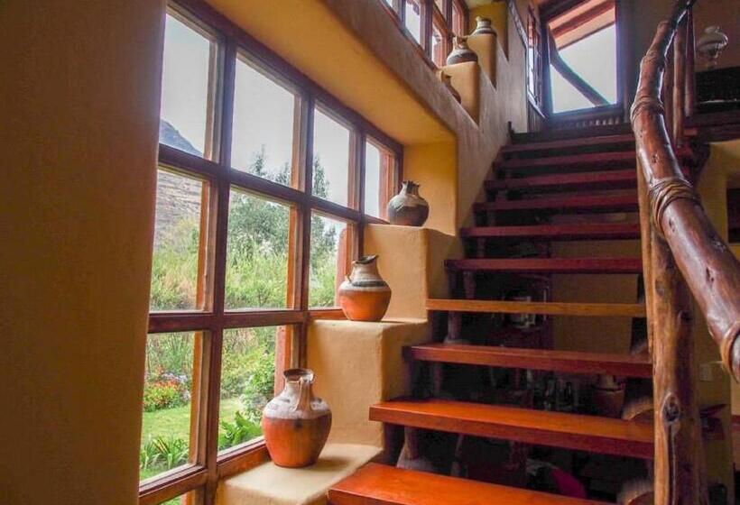 חדר דלוקס, Karina Wasi