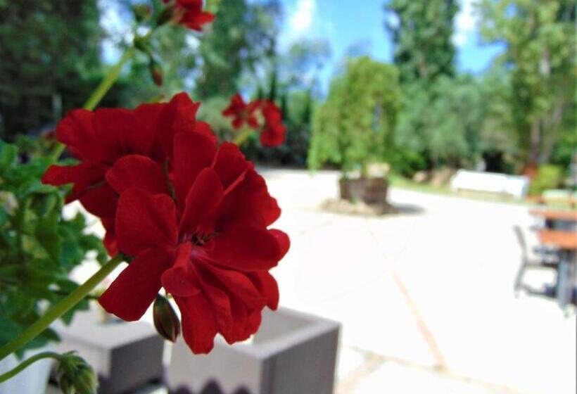 غرفة قياسية, Casale Rurale