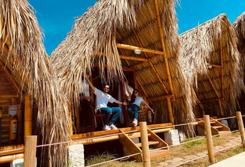 标准平房, Palomino Sunrise