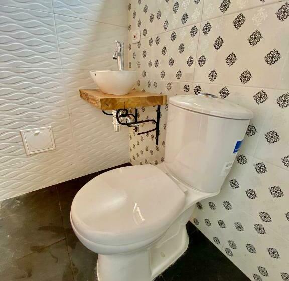 标准间, Palomino Sunrise