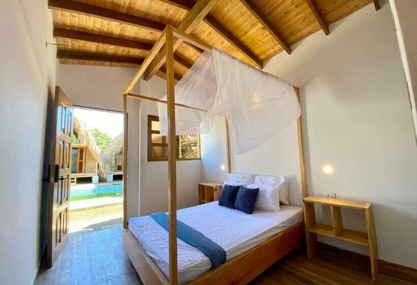 标准间, Palomino Sunrise