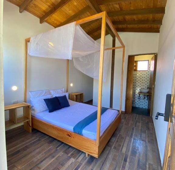 标准间, Palomino Sunrise