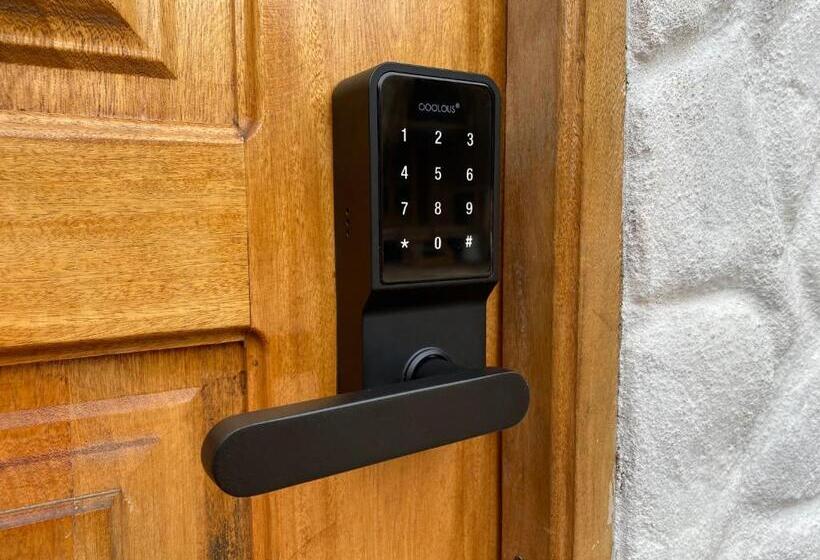 高级大房间, Palomino Sunrise