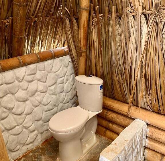 标准平房, Palomino Sunrise