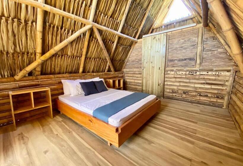 标准平房, Palomino Sunrise