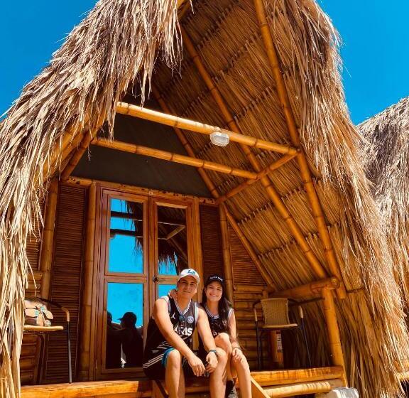 标准平房, Palomino Sunrise