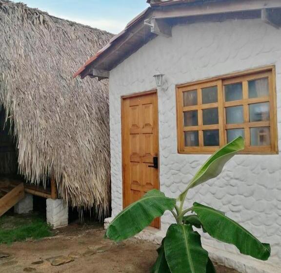 标准间, Palomino Sunrise