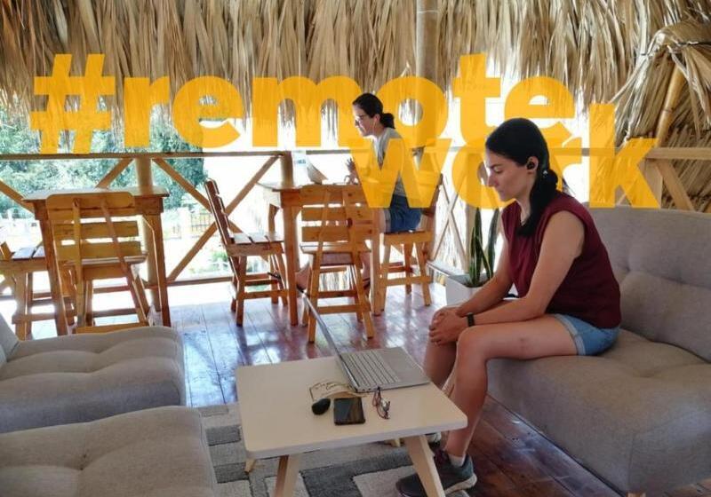 标准间, Palomino Sunrise