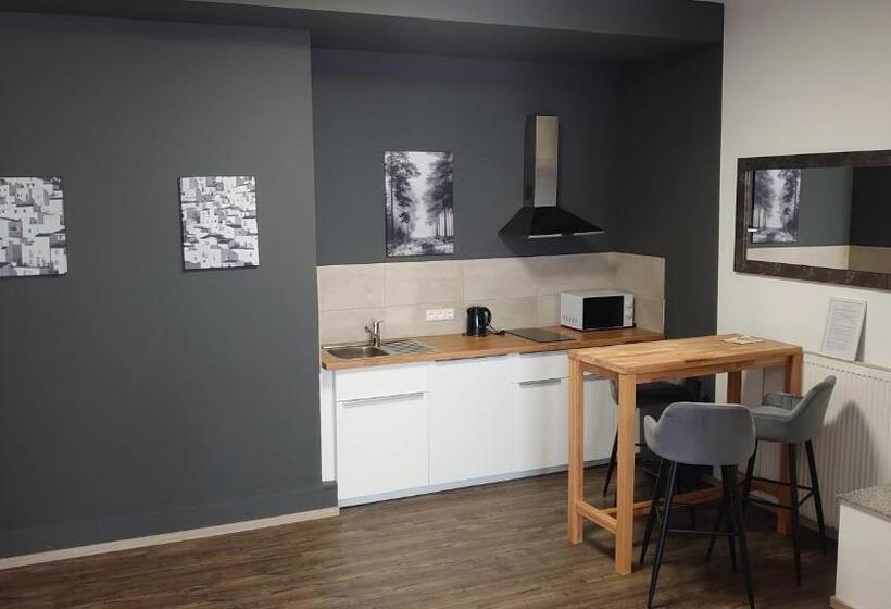 Апартаменты Superior 1 Спальня, Maxim Apartments Mainz