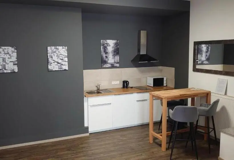 آپارتمان سوپریور 1 خوابه, Maxim Apartments Mainz