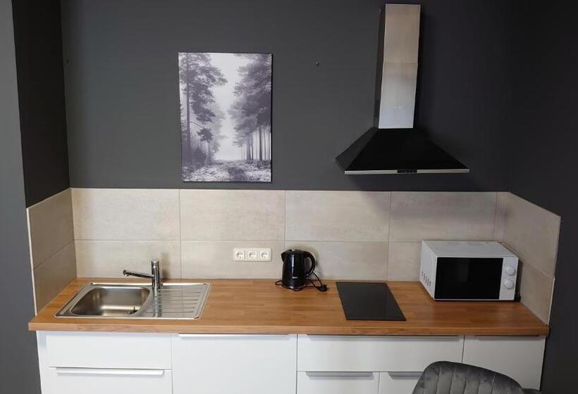 חדר סטודיו סטנדרד, Maxim Apartments Mainz