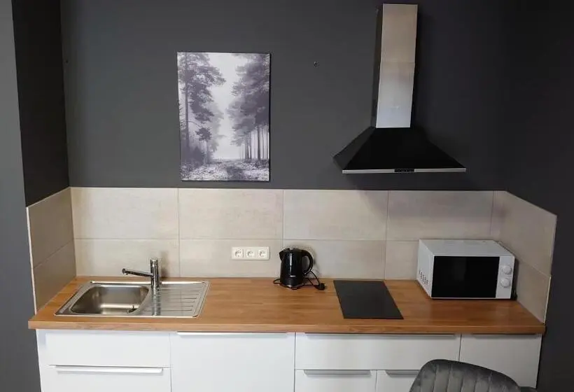 استودیوی استاندارد, Maxim Apartments Mainz