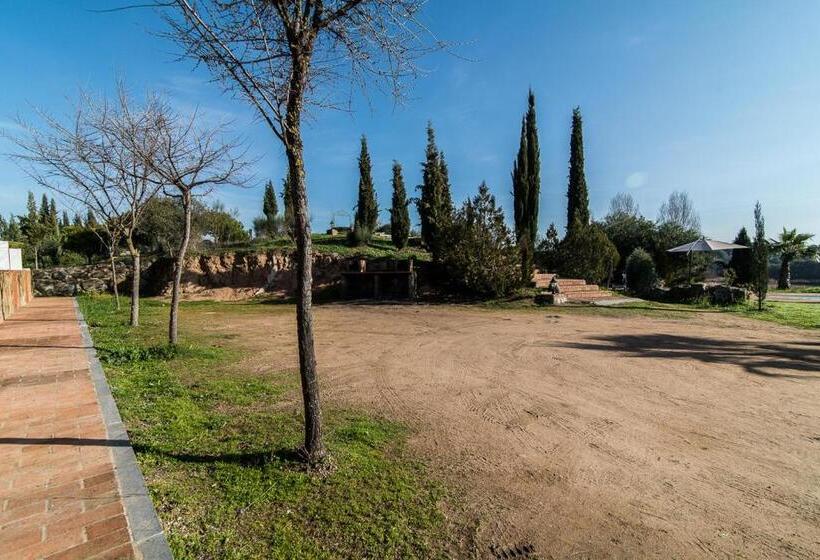 اتاق استاندارد, El Pueblo De Leo