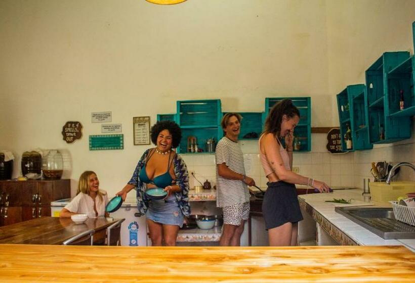 تختخواب در اتاق مشترک, Los Amigos Hostel