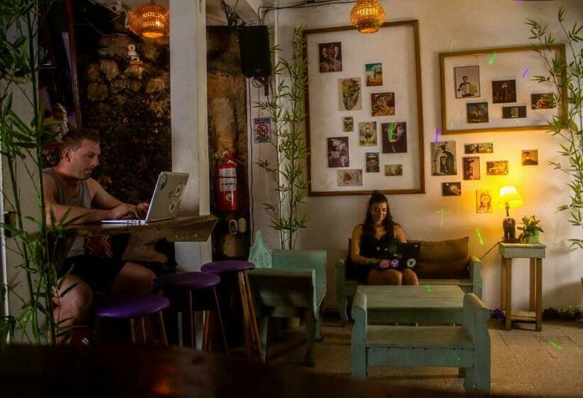 تختخواب در اتاق مشترک, Los Amigos Hostel