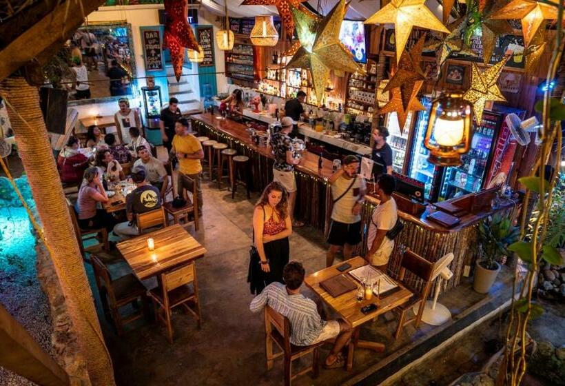 تختخواب در اتاق مشترک, Los Amigos Hostel